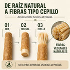 Miswak para Higiene Bucal Natural