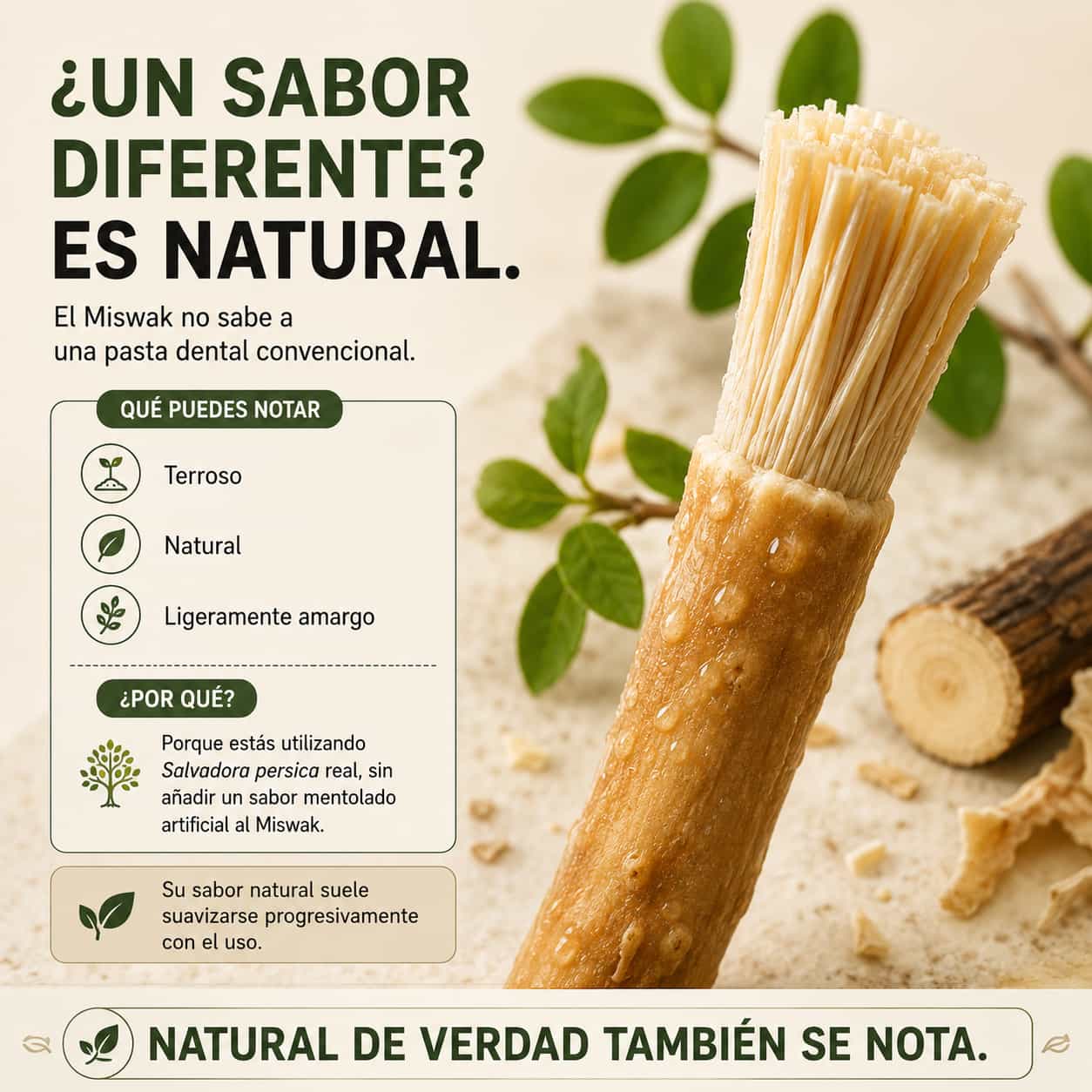 Miswak para Higiene Bucal Natural